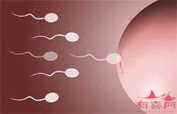 北京试管助孕热线,北京陆军总医院试管婴儿医生名单，2022助孕成功率排名